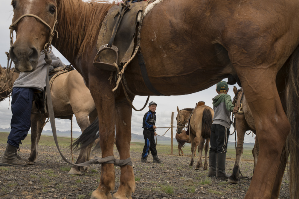 Nomads Nomadic Children Mongolia - copyright 2013 Sven Zellner/Agentur Focus